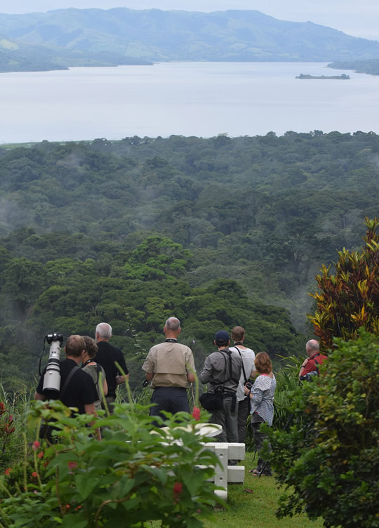 Arenal Area